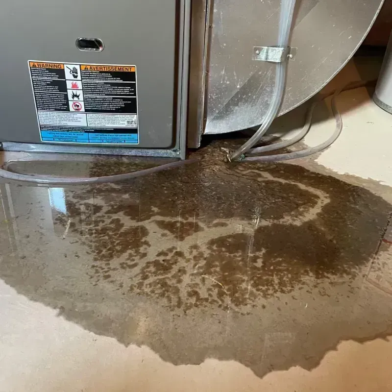 Appliance Leak Cleanup in Edgewater, CO